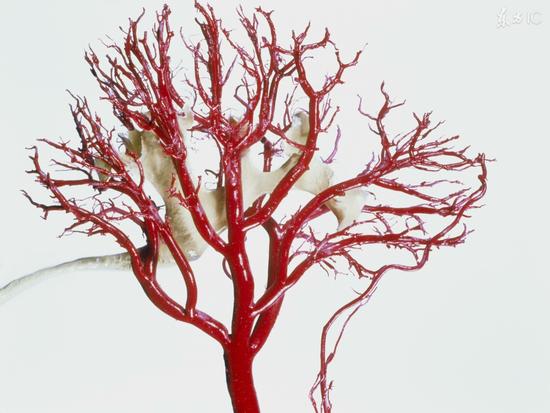 һ�����Ѫ������