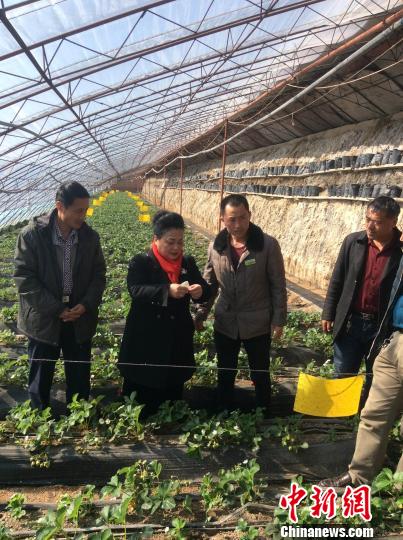 �Ї����������������g׌���ɹ�ͬ�������Gɫϣ��