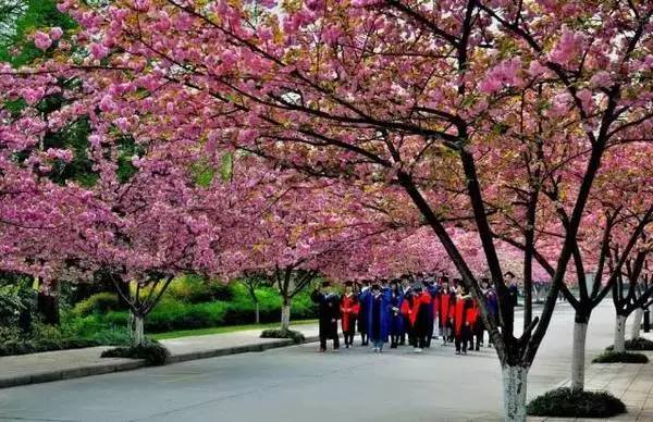 ���\�C����ӭ�����¡�������ʲô�ɫ�ģ�