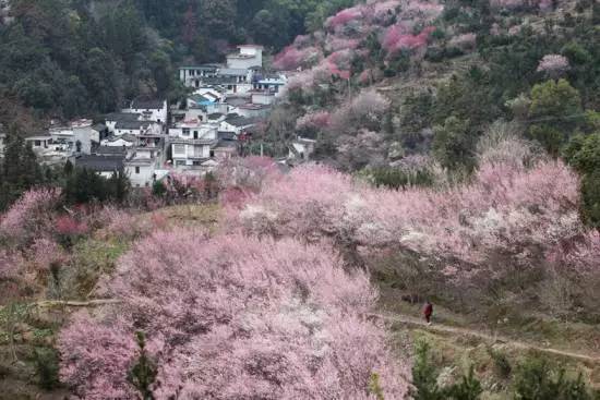 ���\�C����ӭ�����¡�������ʲô�ɫ�ģ�