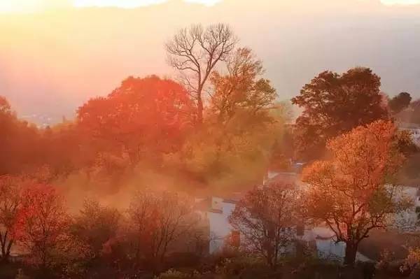 ���\�C����ӭ�����¡�������ʲô�ɫ�ģ�