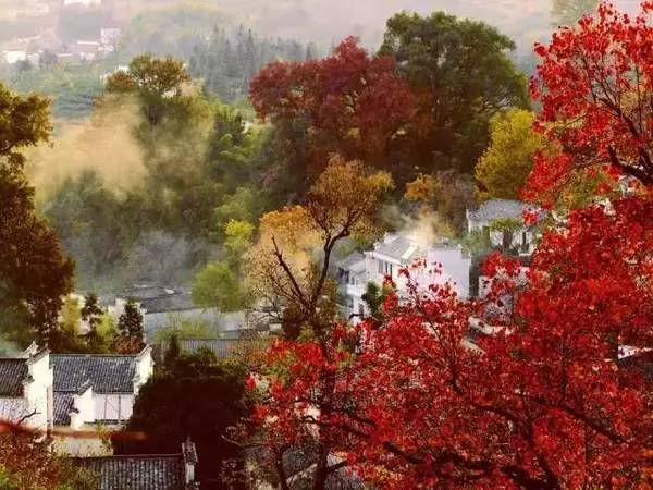 ���\�C����ӭ�����¡�������ʲô�ɫ�ģ�