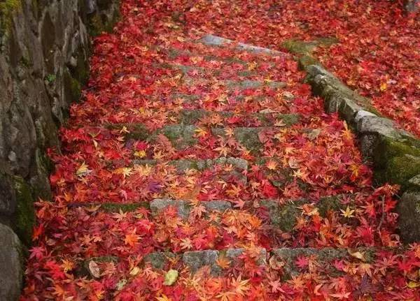 ���\�C����ӭ�����¡�������ʲô�ɫ�ģ�