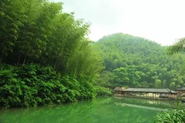 ���\�C����ӭ�����¡�������ʲô�ɫ�ģ�