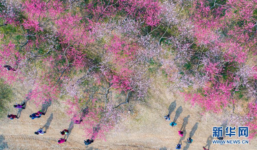 ��ʮ���һ��������L(f��ng)