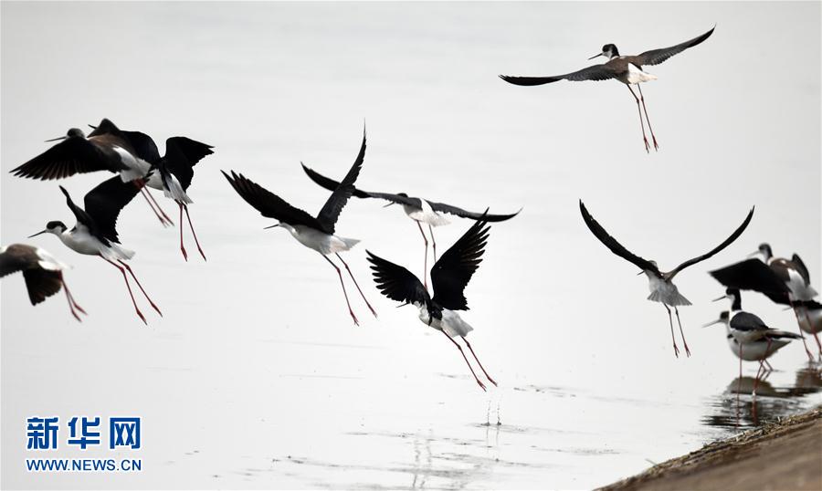 ���ջ���ˮ�T(m��n)�� ǧ��ˮ���f(w��n)핲�