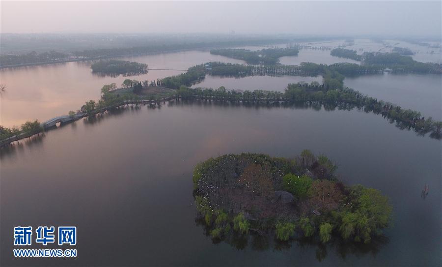 ���ջ���ˮ�T(m��n)�� ǧ��ˮ���f(w��n)핲�