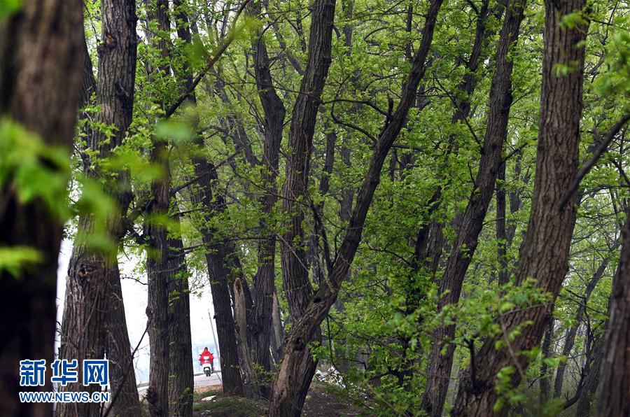 ���ջ���ˮ�T(m��n)�� ǧ��ˮ���f(w��n)핲�