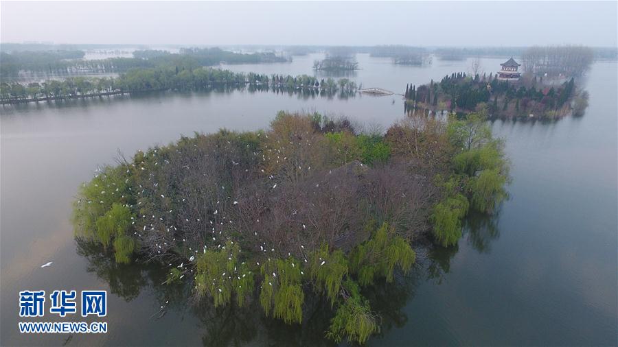 ���ջ���ˮ�T(m��n)�� ǧ��ˮ���f(w��n)핲�