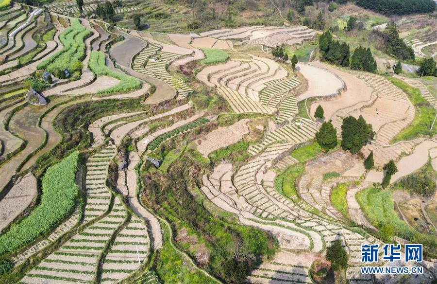 �����Aҕ�磩��1��ɽ�l����