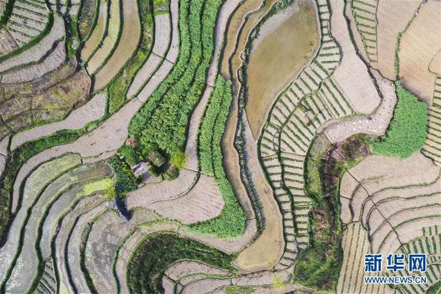 �����Aҕ�磩��2��ɽ�l����