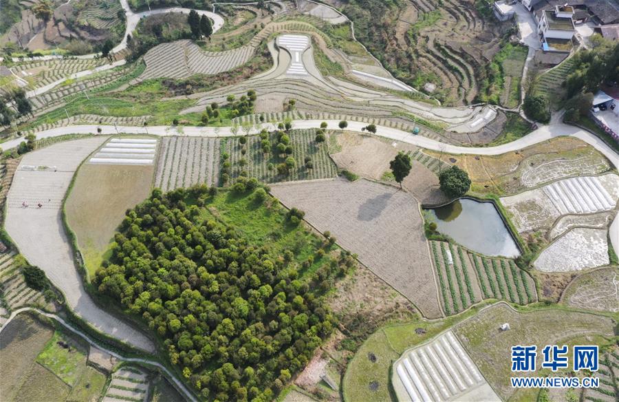 �����Aҕ�磩��3��ɽ�l����