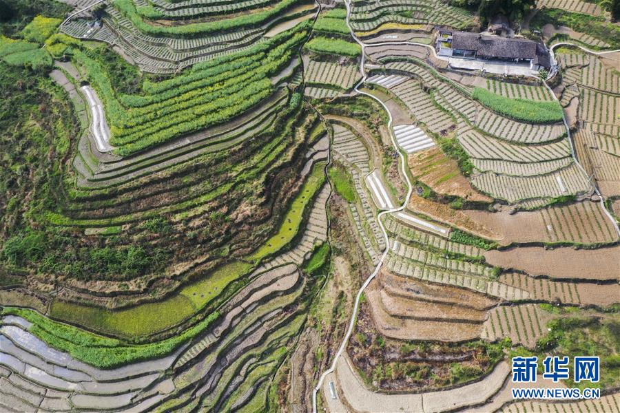 �����Aҕ�磩��5��ɽ�l����