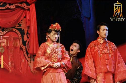 音樂(lè)劇電影《家》海報(bào)