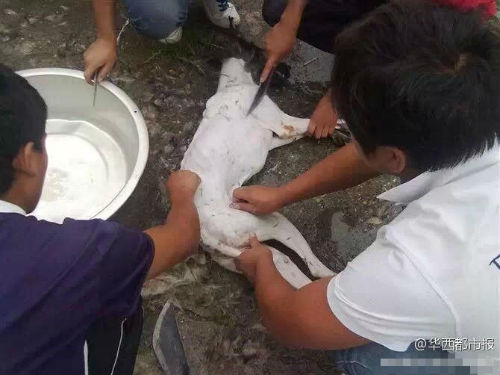 �W(w��ng)������Ű������Ƭ���ؑ�(y��ng)�Q�P(gu��n)��ƨ�¡�