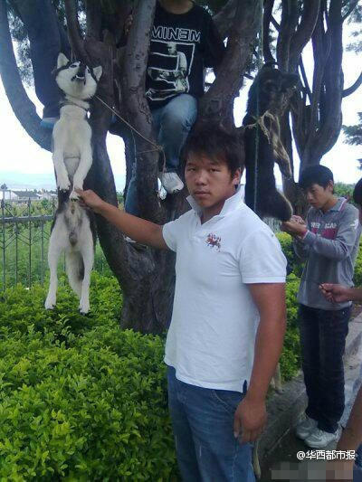 �W(w��ng)������Ű������Ƭ���ؑ�(y��ng)�Q�P(gu��n)��ƨ�¡�