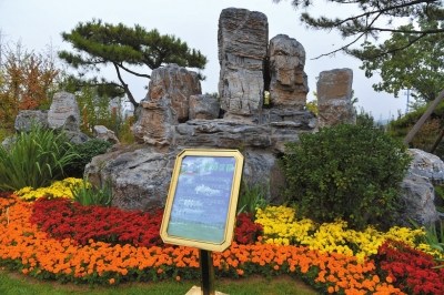 2020�걱���딵���ߌ����B�����z�w̎��o����