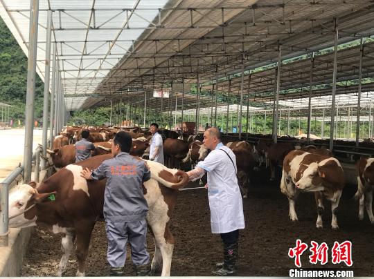 �V����ס�a(ch��n)�I(y��)��ؚ��ţ���ӡ�����ؚ���؅^(q��)�_(k��i)ͨ���¸���܇��