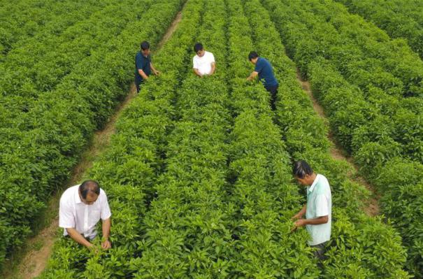 ����������3���ӱ���ˮ��С�����_���¸���·��