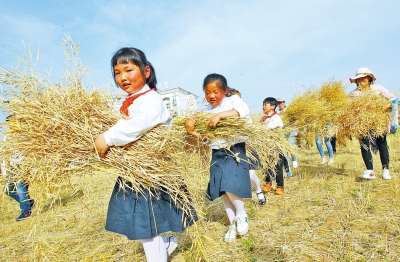 ����һС�W(xu��)�Ђ��r(n��ng)Ȥ�@ �����������@���N�����ի@