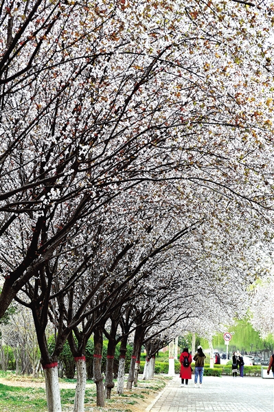 �ο�̫���У�o����܇���� ���M�������������?