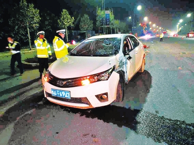 ���������{܇ײ������׌����픰� DNA�z�y�i��������