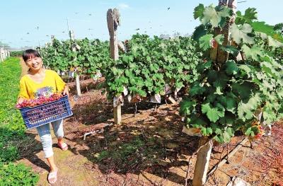 ���ϡ��w�㽛�����˄�Óؚ����