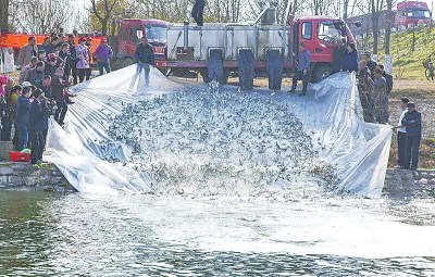 ����_չ?ji��)O�I(y��)�YԴ��ֳ�������(d��ng) 10�fβ�~��ɳ�ӡ����ҡ�