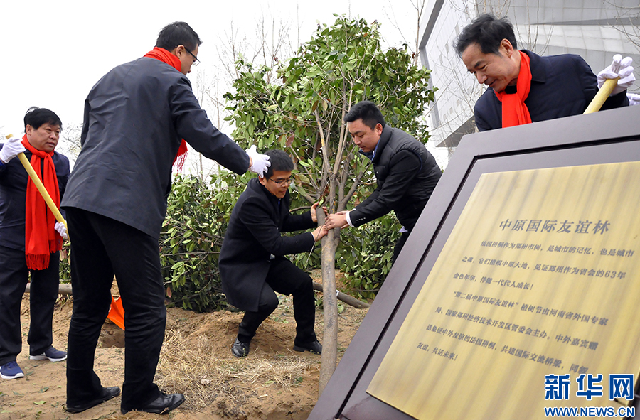 �ڶ�����ԭ���H���x��ֲ�九�e��