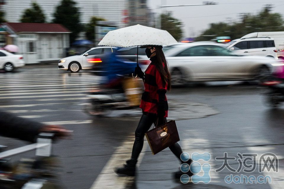 ����ӾW�������ݴ���Ƚ��� �зN����С�������ѝ��