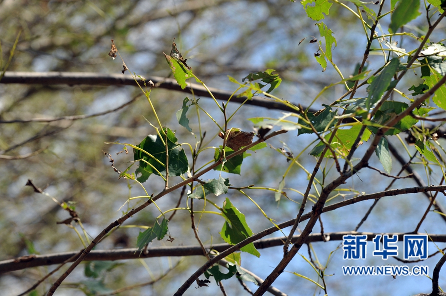 ���:�˹����˗��ʳ�~���x