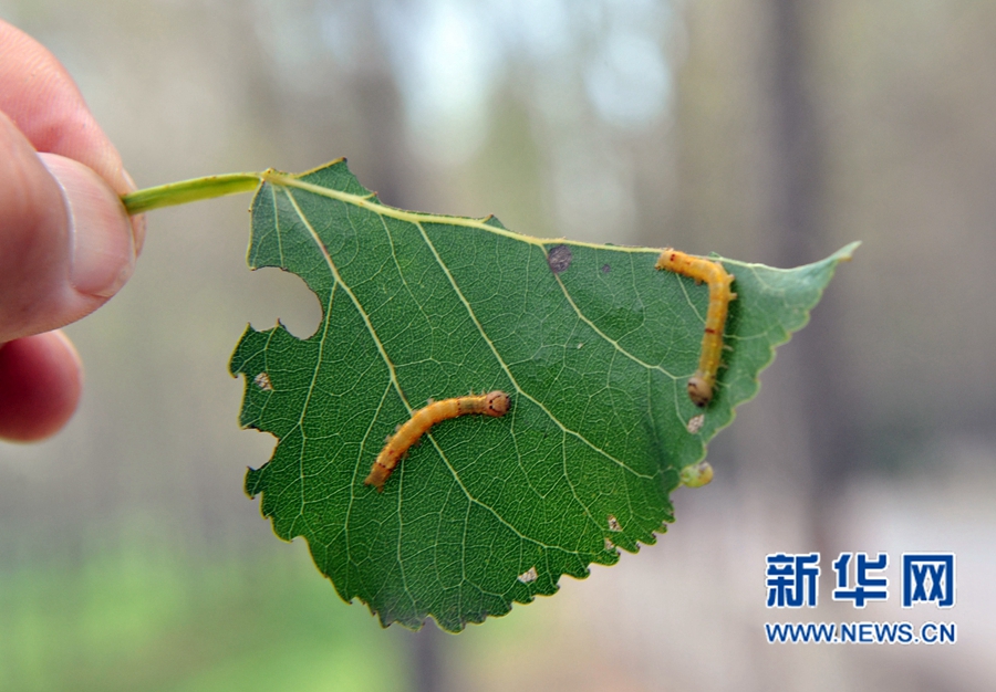 ���:�˹����˗��ʳ�~���x