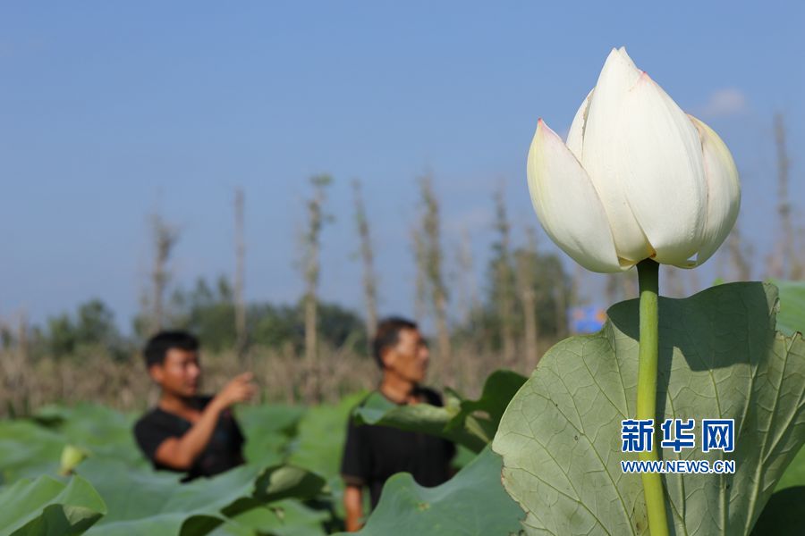 �������:���ʷ�ؚ���rÓ��