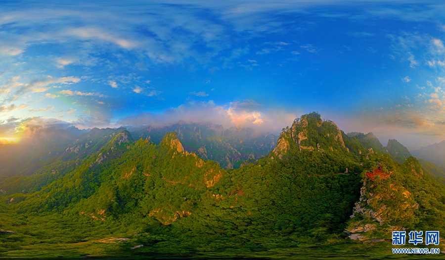 �����ġ�����,�Ͻ�X!