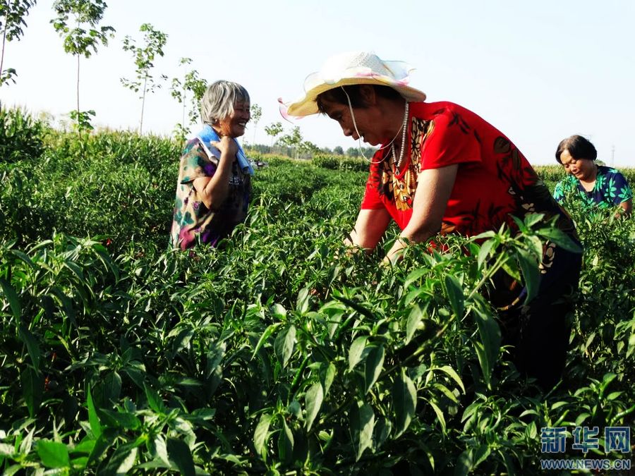 ��������:���r������܊�� �͘I����æ