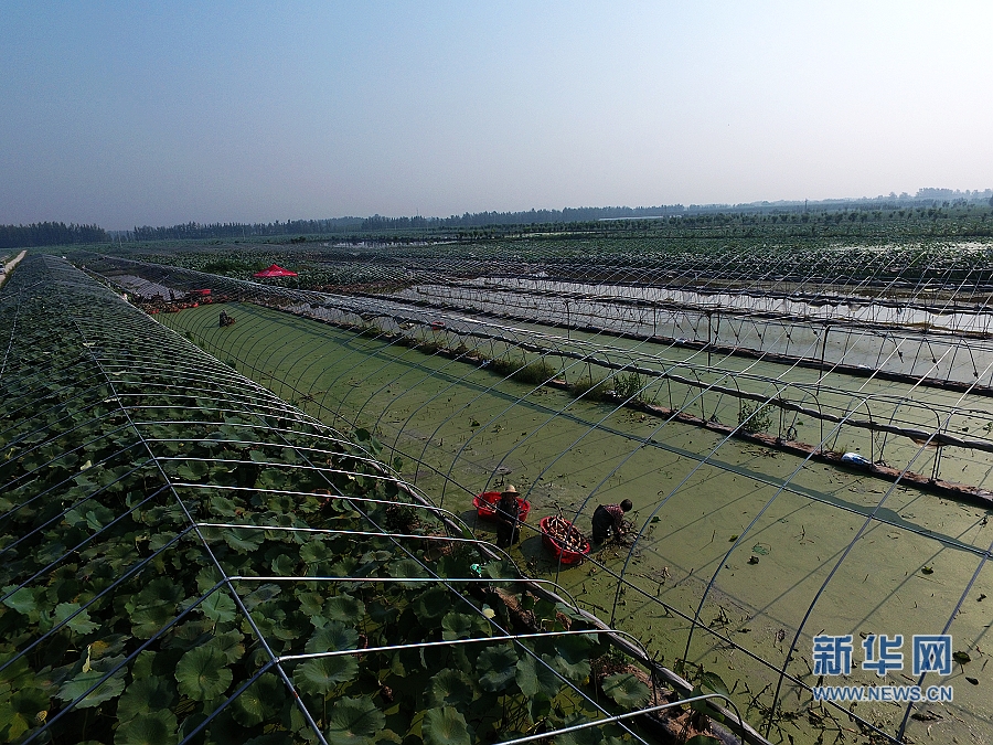 ���W�jý�w���D�ġ�����:ɏź���B�����¸�·