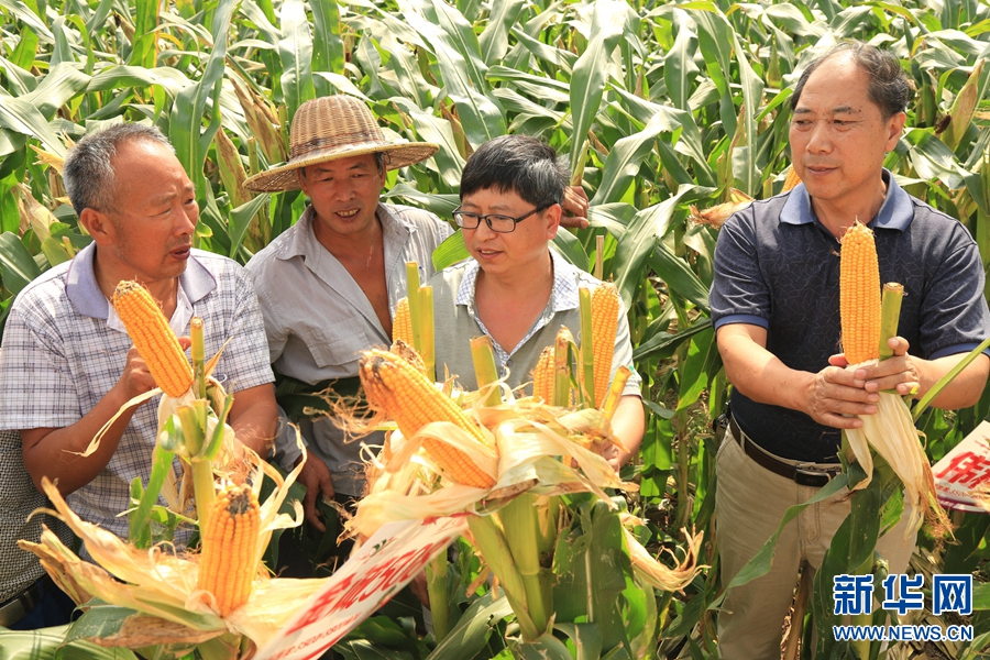 �������:���g�ƽ���ɞ��r�񡰺ü��С�