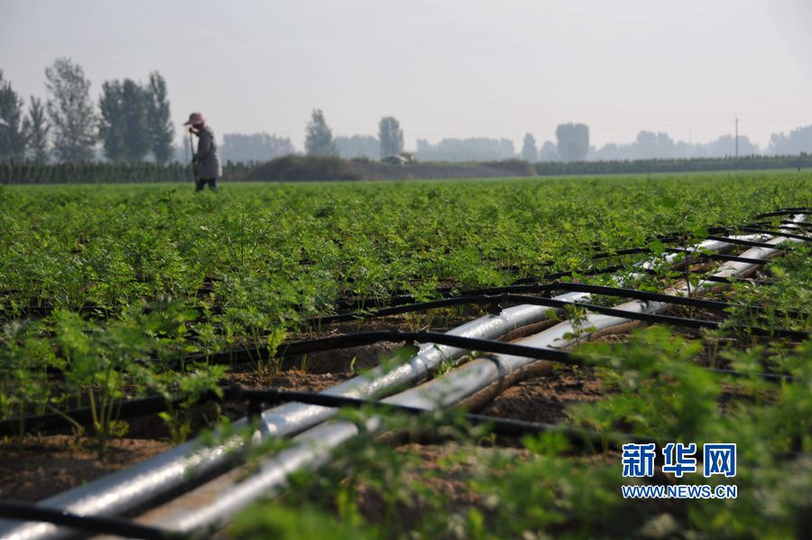 ���σ��S:׌ÿһ��ˮ���l�]���Ч��