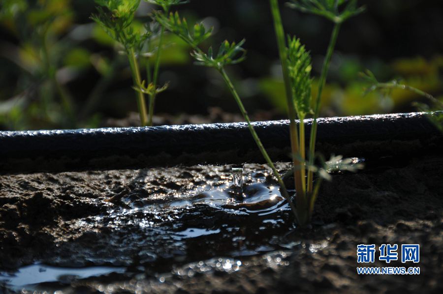 ���σ��S:׌ÿһ��ˮ���l�]���Ч��