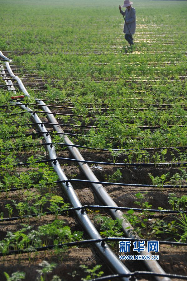 ���σ��S:׌ÿһ��ˮ���l�]���Ч��