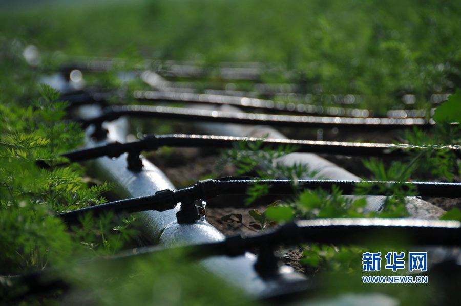 ���σ��S:׌ÿһ��ˮ���l�]���Ч��