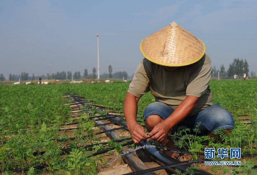 ���σ��S:׌ÿһ��ˮ���l�]���Ч��