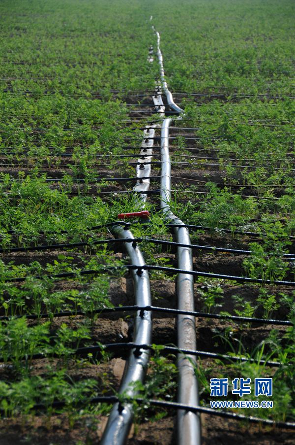 ���σ��S:׌ÿһ��ˮ���l�]���Ч��