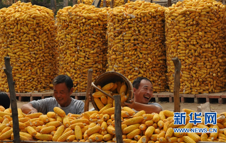 ���σ��S:�����S�Օ���æ