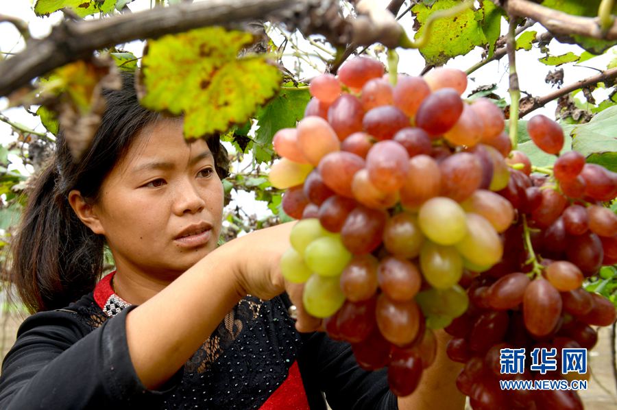 ��������:���M(j��n)�a(ch��n)�I(y��)��ؚ ��(sh��)�F(xi��n)����(zh��n)����(d��ng)