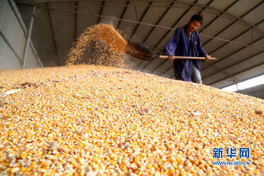 ���Ϝؿh:������^���ۼZæ