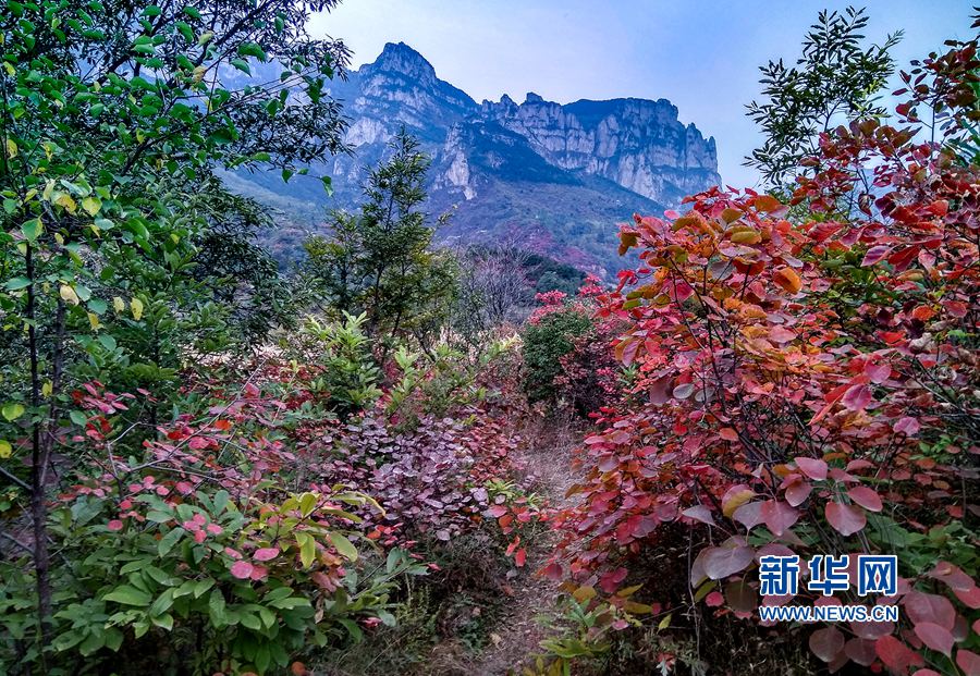 ���ϰ������̫��ɽ�ϼt�~�MȾ