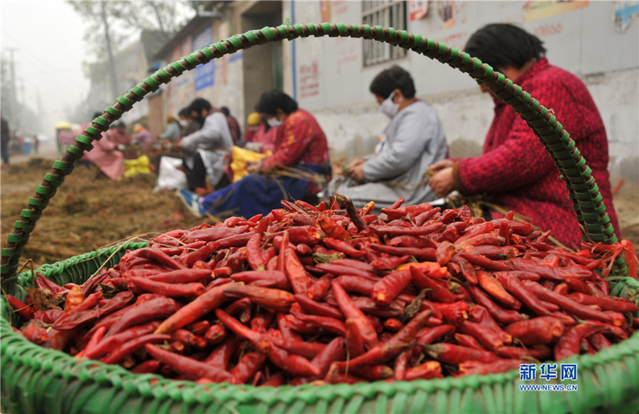 ���σ��S:���؋DŮ����æ