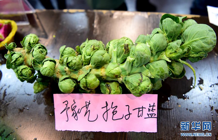 �����r��@ˇ�Ļ���:�_���ײ˶���ˮ��ζ!