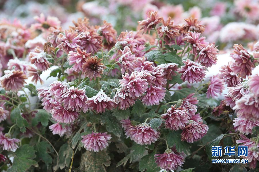 �ų��_�� �Fڡ���_�䲻��